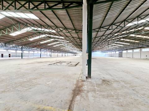 Armazém Industrial com 12.000m2, em Torres Novas, Santarém