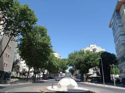 Apartamento T3 - totalmente remodelado, em Benfica
