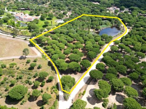 Lote de Terreno de 33.300m2, com lagoa, na Mata do Duque 1, Santo Estevão