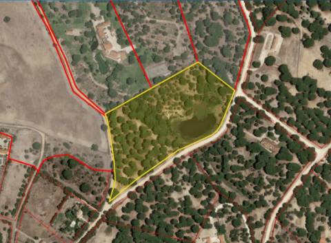 Lote de Terreno de 33.300m2, com lagoa, na Mata do Duque 1, Santo Estevão