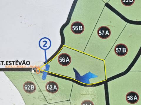 Lote de Terreno de 33.300m2, com lagoa, na Mata do Duque 1, Santo Estevão