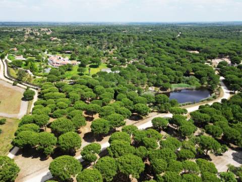 Lote de Terreno de 33.300m2, com lagoa, na Mata do Duque 1, Santo Estevão
