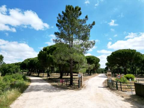 Lote de Terreno de 33.300m2, com lagoa, na Mata do Duque 1, Santo Estevão
