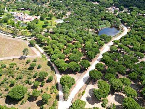 Lote de Terreno de 33.300m2, com lagoa, na Mata do Duque 1, Santo Estevão