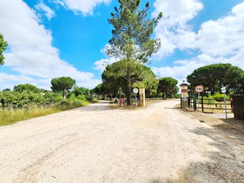 Lote de Terreno de 33.300m2, com lagoa, na Mata do Duque 1, Santo Estevão