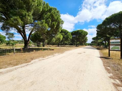 Lote de Terreno de 33.300m2, com lagoa, na Mata do Duque 1, Santo Estevão