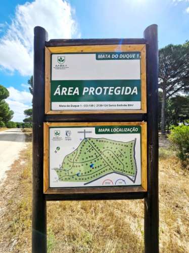 Lote de Terreno de 33.300m2, com lagoa, na Mata do Duque 1, Santo Estevão