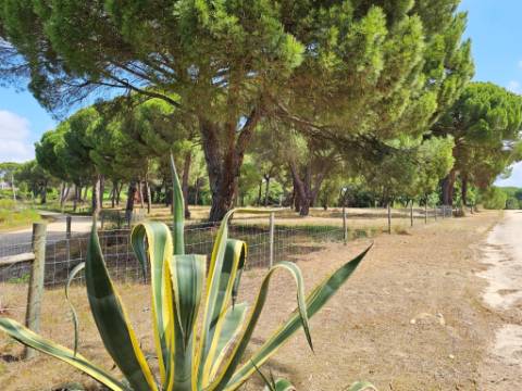 Lote de Terreno de 33.300m2, com lagoa, na Mata do Duque 1, Santo Estevão