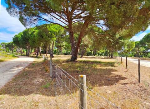 Lote de Terreno de 33.300m2, com lagoa, na Mata do Duque 1, Santo Estevão