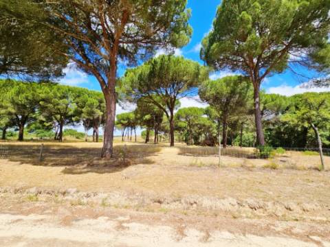 Lote de Terreno de 33.300m2, com lagoa, na Mata do Duque 1, Santo Estevão