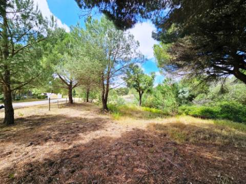 Lote de Terreno de 33.300m2, com lagoa, na Mata do Duque 1, Santo Estevão