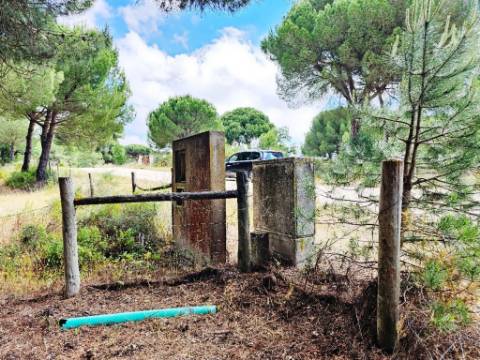 Lote de Terreno de 33.300m2, com lagoa, na Mata do Duque 1, Santo Estevão