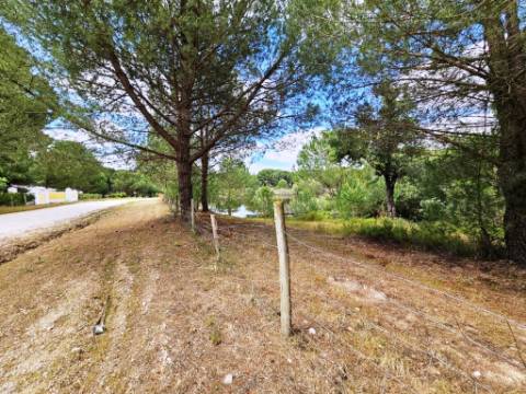 Lote de Terreno de 33.300m2, com lagoa, na Mata do Duque 1, Santo Estevão