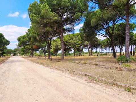 Lote de Terreno de 33.300m2, com lagoa, na Mata do Duque 1, Santo Estevão