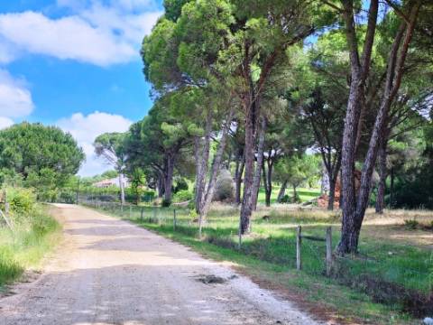 Lote de Terreno de 33.300m2, com lagoa, na Mata do Duque 1, Santo Estevão