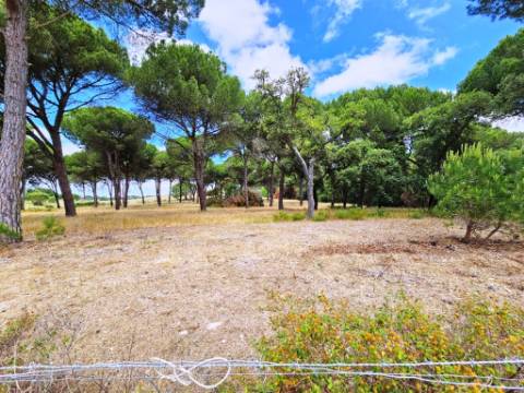 Lote de Terreno de 33.300m2, com lagoa, na Mata do Duque 1, Santo Estevão