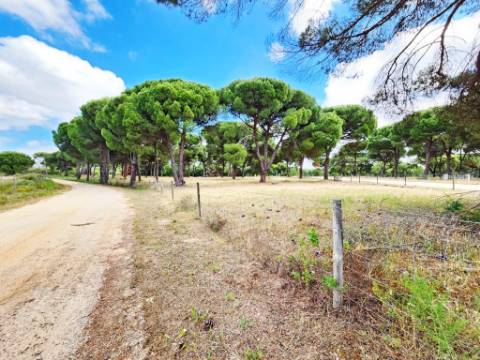 Lote de Terreno de 33.300m2, com lagoa, na Mata do Duque 1, Santo Estevão