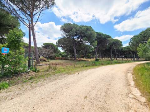 Lote de Terreno de 33.300m2, com lagoa, na Mata do Duque 1, Santo Estevão