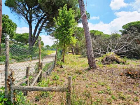 Lote de Terreno de 33.300m2, com lagoa, na Mata do Duque 1, Santo Estevão
