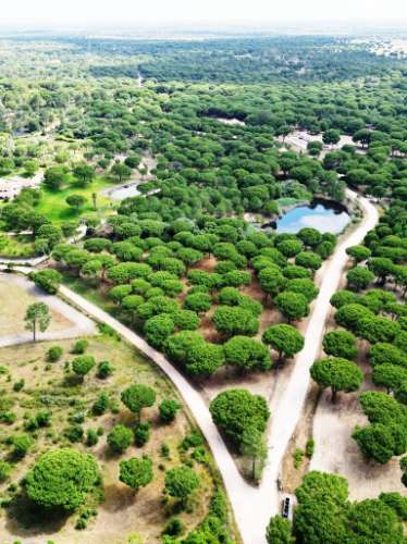 Lote de Terreno de 33.300m2, com lagoa, na Mata do Duque 1, Santo Estevão