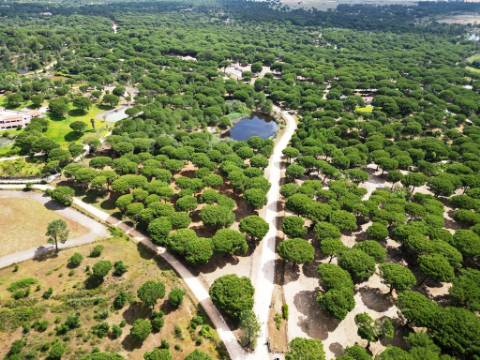 Lote de Terreno de 33.300m2, com lagoa, na Mata do Duque 1, Santo Estevão