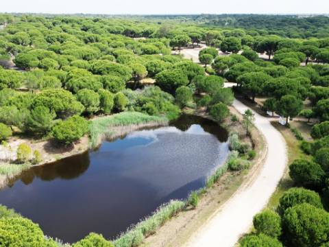 Lote de Terreno de 33.300m2, com lagoa, na Mata do Duque 1, Santo Estevão