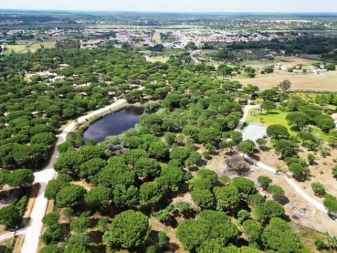 Lote de Terreno de 33.300m2, com lagoa, na Mata do Duque 1, Santo Estevão