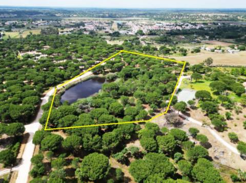 Lote de Terreno de 33.300m2, com lagoa, na Mata do Duque 1, Santo Estevão