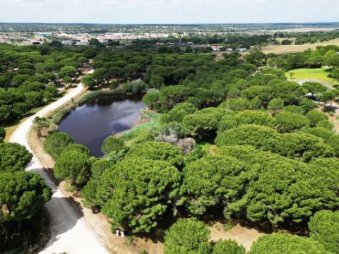 Lote de Terreno de 33.300m2, com lagoa, na Mata do Duque 1, Santo Estevão