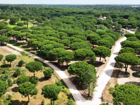 Lote de Terreno de 33.300m2, com lagoa, na Mata do Duque 1, Santo Estevão