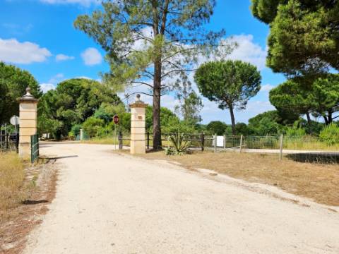 Lote de Terreno de 33.300m2, com lagoa, na Mata do Duque 1, Santo Estevão