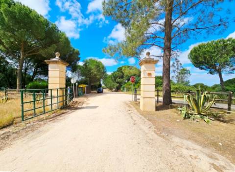 Lote de Terreno de 33.300m2, com lagoa, na Mata do Duque 1, Santo Estevão