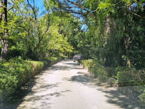 Quinta de 10154m2 com moradia T5 e piscina, na Herdade Zambujeiro, Santo Estêvão