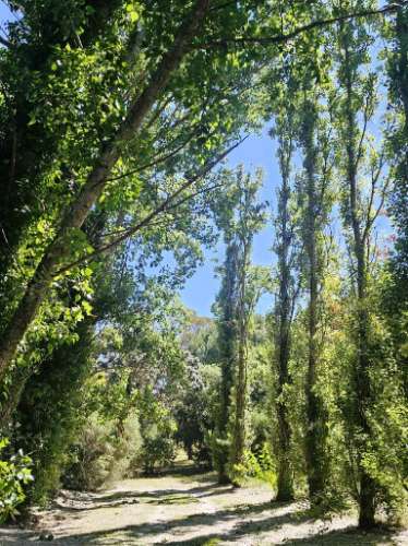Quinta de 10154m2 com moradia T5 e piscina, na Herdade Zambujeiro, Santo Estêvão