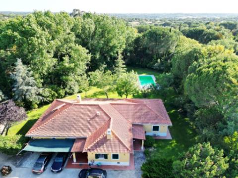 Quinta de 10154m2 com moradia T5 e piscina, na Herdade Zambujeiro, Santo Estêvão