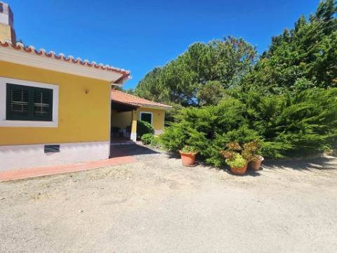 Quinta de 10154m2 com moradia T5 e piscina, na Herdade Zambujeiro, Santo Estêvão