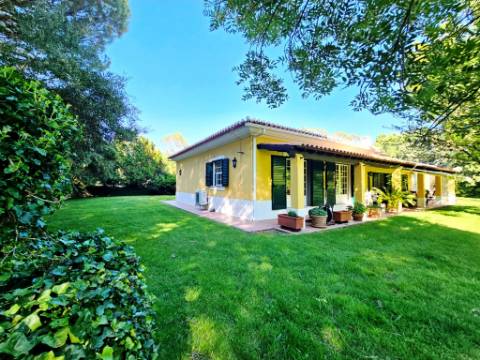 Quinta de 10154m2 com moradia T5 e piscina, na Herdade Zambujeiro, Santo Estêvão