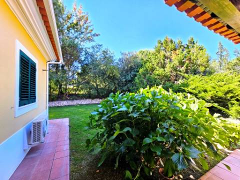 Quinta de 10154m2 com moradia T5 e piscina, na Herdade Zambujeiro, Santo Estêvão