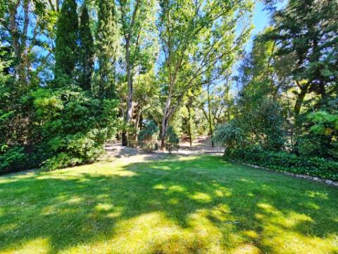 Quinta de 10154m2 com moradia T5 e piscina, na Herdade Zambujeiro, Santo Estêvão