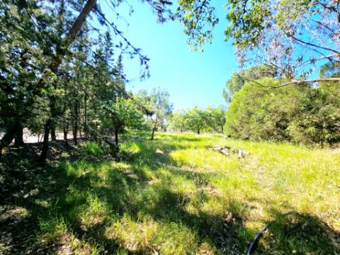 Quinta de 10154m2 com moradia T5 e piscina, na Herdade Zambujeiro, Santo Estêvão