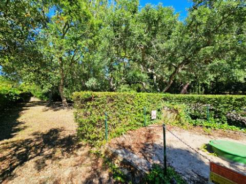 Quinta de 10154m2 com moradia T5 e piscina, na Herdade Zambujeiro, Santo Estêvão