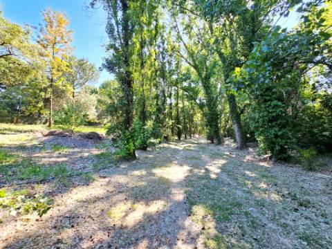 Quinta de 10154m2 com moradia T5 e piscina, na Herdade Zambujeiro, Santo Estêvão