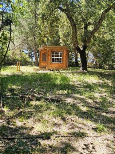 Quinta de 10154m2 com moradia T5 e piscina, na Herdade Zambujeiro, Santo Estêvão