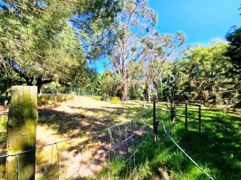 Quinta de 10154m2 com moradia T5 e piscina, na Herdade Zambujeiro, Santo Estêvão