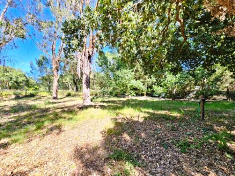 Quinta de 10154m2 com moradia T5 e piscina, na Herdade Zambujeiro, Santo Estêvão