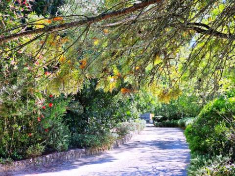 Quinta de 10154m2 com moradia T5 e piscina, na Herdade Zambujeiro, Santo Estêvão