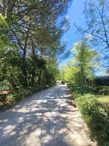 Quinta de 10154m2 com moradia T5 e piscina, na Herdade Zambujeiro, Santo Estêvão