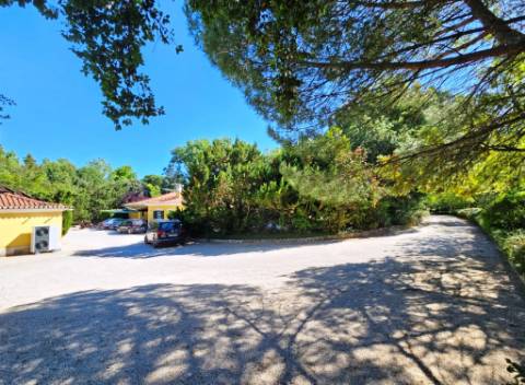 Quinta de 10154m2 com moradia T5 e piscina, na Herdade Zambujeiro, Santo Estêvão