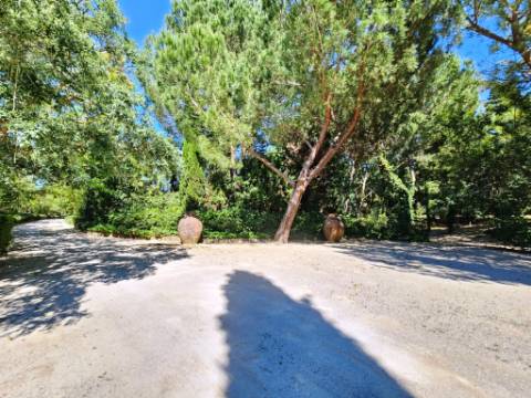 Quinta de 10154m2 com moradia T5 e piscina, na Herdade Zambujeiro, Santo Estêvão
