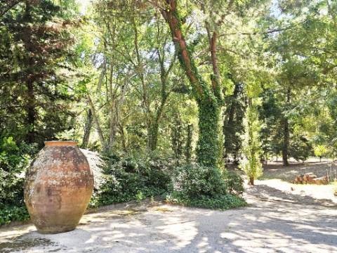 Quinta de 10154m2 com moradia T5 e piscina, na Herdade Zambujeiro, Santo Estêvão